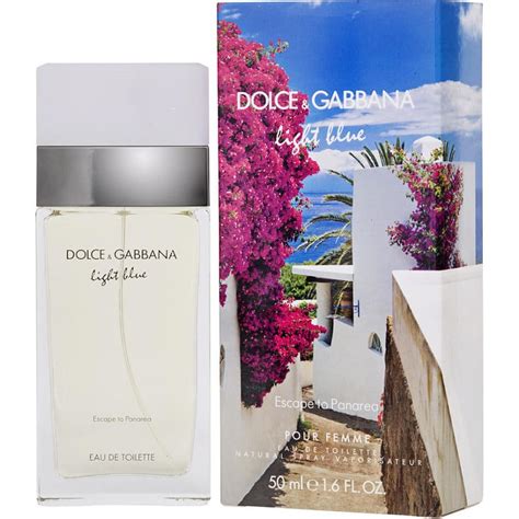 dolce and gabbana review.